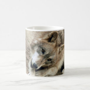 Wolf-Wolf-Tasse Kaffeetasse