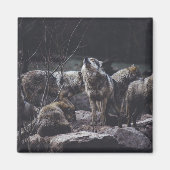 Wolf Wolf Wolf Magnet (Vorne)