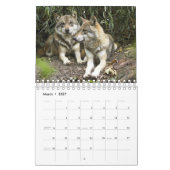Wolf Wölfe in Naturfotografie Kalender (Mär 2027)