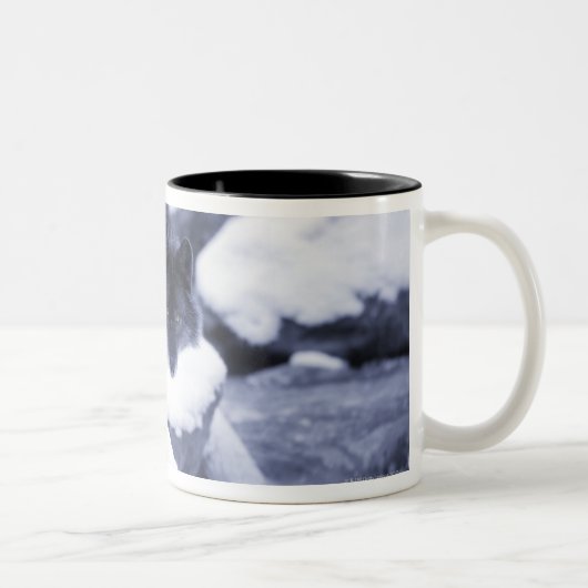 Wolf Zweifarbige Tasse (Rechts)