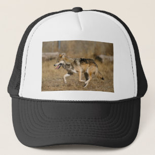Wolfbetrieb Truckerkappe