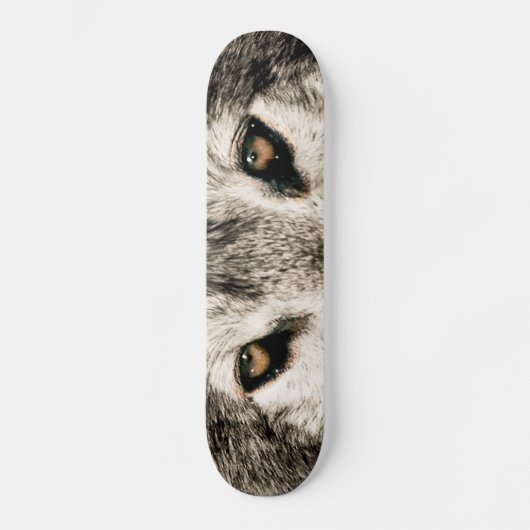 Wolfbild für Skateboard (Vorderseite)