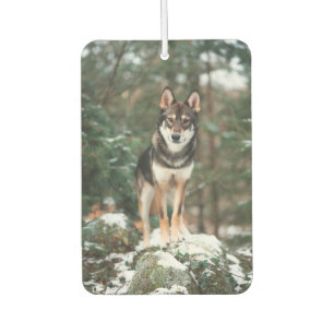 Wolfdog Autolufterfrischer