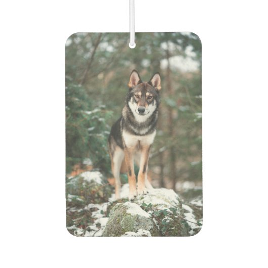 Wolfdog Autolufterfrischer (Vorderseite)