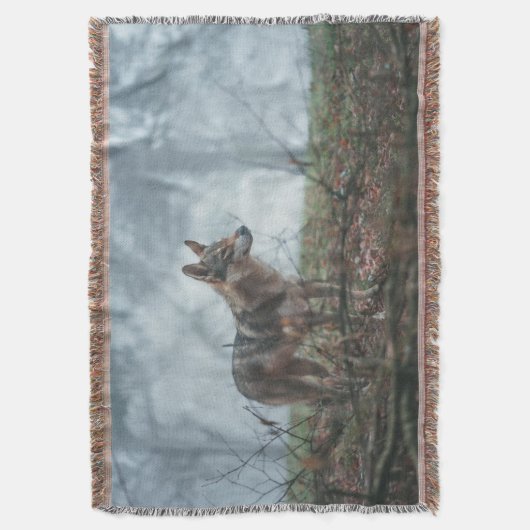 Wolfdog Decke (Vorderseite Vertikal)