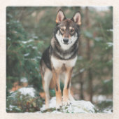 Wolfdog Glasuntersetzer (Vorderseite)