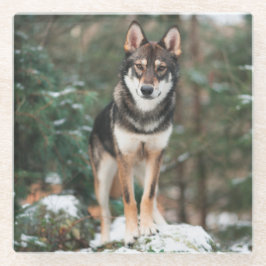 Wolfdog Glasuntersetzer