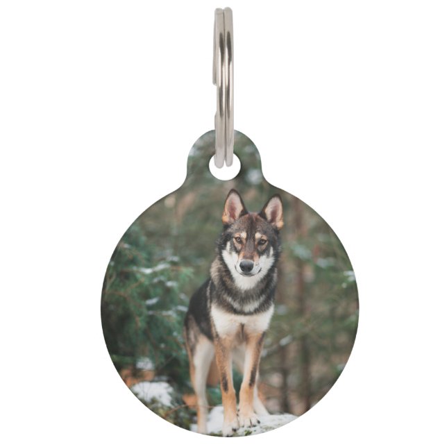 Wolfdog Haustiermarke (Vorderseite)