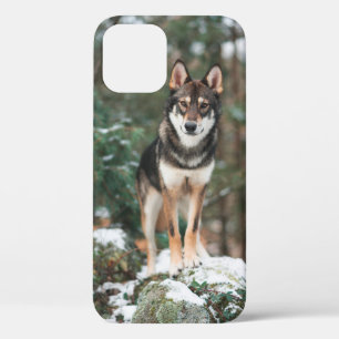 Wolfdog iPhone 12 Hülle