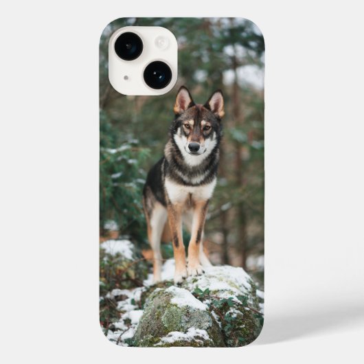 Wolfdog iPhone 14 Hülle (Rückseite)