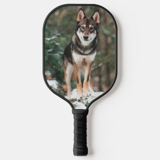 Wolfdog Pickleball Schläger (Vorderseite)