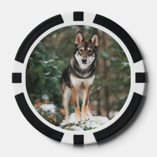 Wolfdog Pokerchips