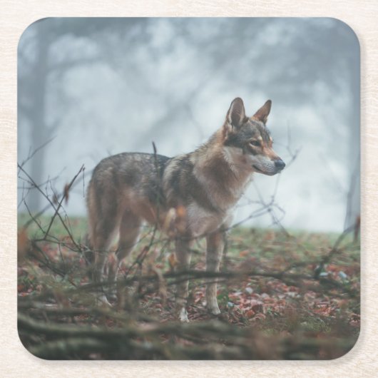 Wolfdog Rechteckiger Pappuntersetzer (Vorderseite)