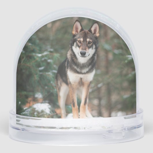 Wolfdog Schneekugeln (Rückseite)