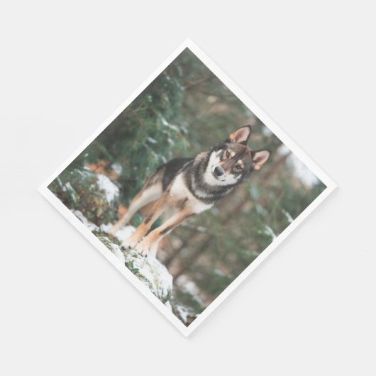 Wolfdog Serviette (Ecke)