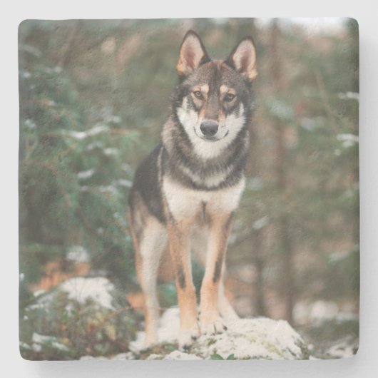Wolfdog Stone Untersetzer (Vorderseite)