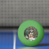 Wolfdog Tischtennisball (Netto)