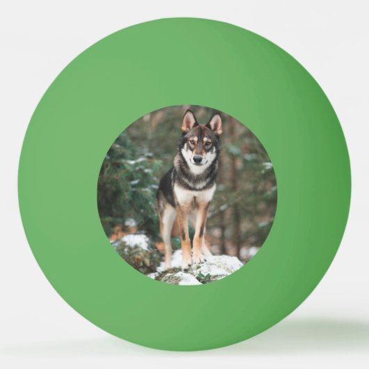 Wolfdog Tischtennisball (Vorderseite)