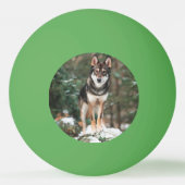 Wolfdog Tischtennisball (Rückseite)