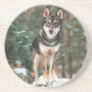 Wolfdog Untersetzer