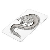 Wolfdragon Schwarzweiß-Design Magnet (Linke Seite)