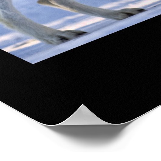 Wölfe aus Gelbstein Poster (Ecke)