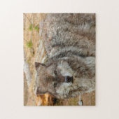 Wölfe aus Yellowstone. Puzzle (Vertikal)