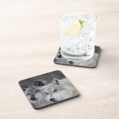 Wölfe (Canus Lupus) von WestYellowstone. Dieses Untersetzer (Rechte Seite)