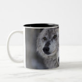 Wölfe (Canus Lupus) von WestYellowstone. Dieses Zweifarbige Tasse (Links)