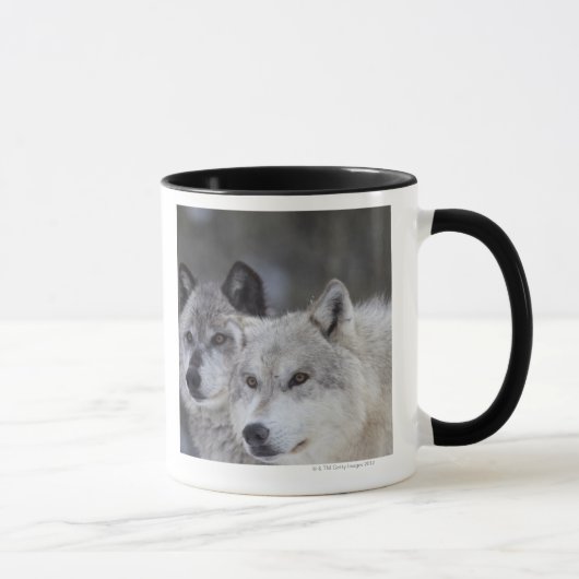 Wölfe (Canus Lupus) | WestYellowstone Tasse (Rechts)