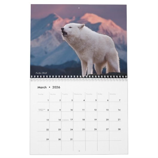 Wölfe der Welt 15 Mo. Kalender 2025-26 (Mär 2026)