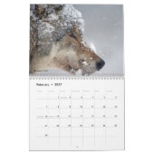 Wölfe der Welt 15 Mo. Kalender 2025-26 (Feb 2027)