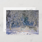 Wölfe der Yellowstone-Postkarte Postkarte (Vorne/Hinten)