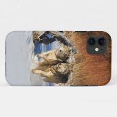 Wölfe, die in Schnee iPhone 4 Fall laufen Case-Mate iPhone Hülle (Rückseite (Horizontal))