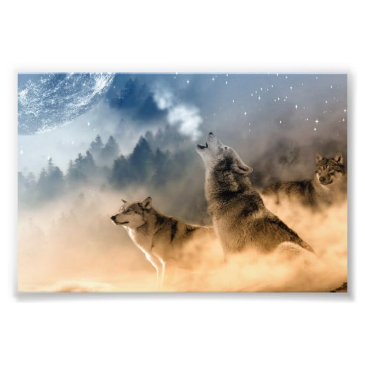 Wölfe Foto Art Print (Vorne)