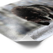 Wölfe Fotodruck (Ecke)