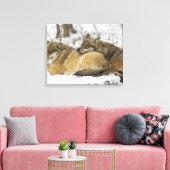 Wölfe im Bawarian Wood Leinwanddruck (Insitu (Wohnzimmer))