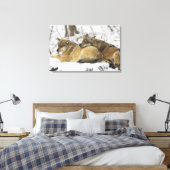 Wölfe im Bawarian Wood Leinwanddruck (Insitu (Schlafzimmer))