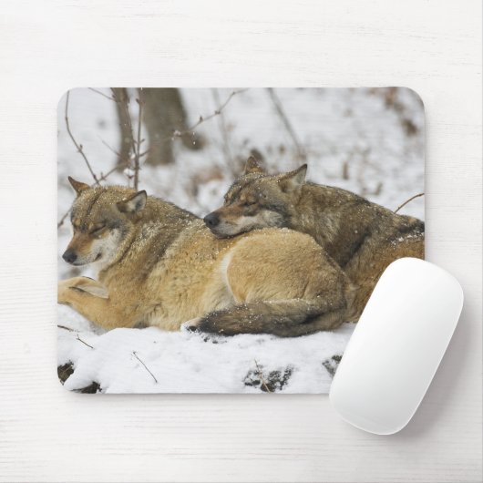 Wölfe im Bawarian Wood Mousepad (Mit Mouse)