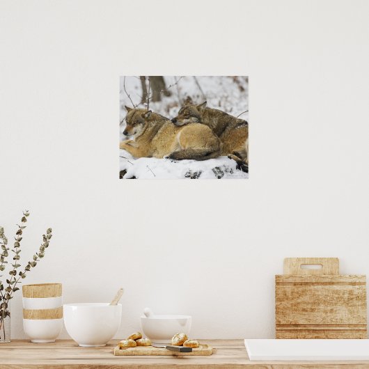 Wölfe im Bawarian Wood Poster (Küche)