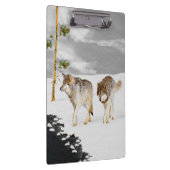 Wölfe im Schnee Gemälde - Originale Wildtierkunst Klemmbrett (Rechts)