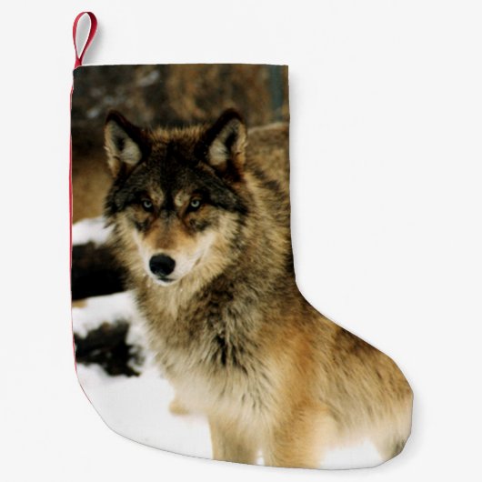 Wölfe im Schnee Kleiner Weihnachtsstrumpf (Vorderseite)