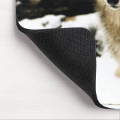 Wölfe im Schnee Mousepad (Ecke)