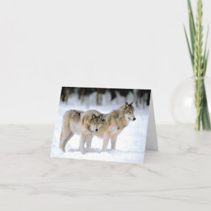 WÖLFE IM SCHNEE  WEIHNACHTSKARTE FEIERTAGSKARTE