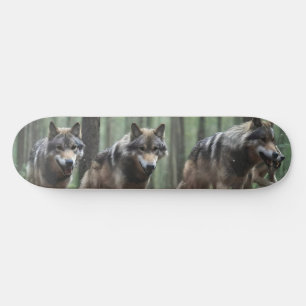 Wölfe im Skate des Waldes Skateboard