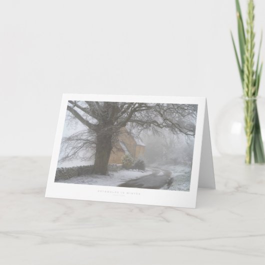 Wölfe im Winter Karte (Vorderseite)