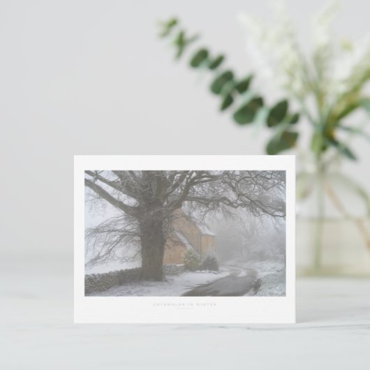 Wölfe im Winter Postkarte (Stehend Vorderseite)