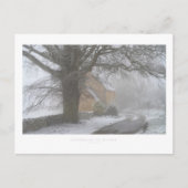 Wölfe im Winter Postkarte (Vorderseite)