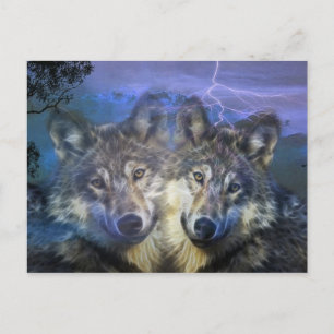 Wölfe in der Nacht Postkarte