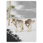 Wölfe in der Schneemalerei - Original Wildlife Art Klemmbrett (Rückseite)